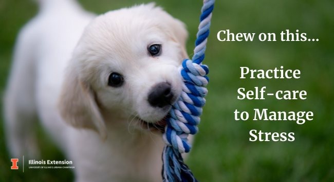 Puppy chewing on a rope. Chew on this... Practice self-care to manage stress